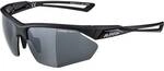 ALPINA Brille ALPINA NYLOS
