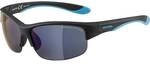 ALPINA Kinder Brille FLEXXY YOUTH HR
