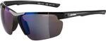 ALPINA Herren Brille DEFEY HR