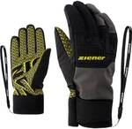ZIENER Herren Handschuhe GARIM AS(R) glove ski alpine