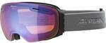 ALPINA Skibrille "Granby HM"