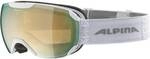 ALPINA Herren Skibrille "Pheos S HM"