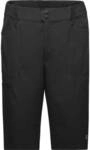 GORE WEAR GORE&reg; Wear Passion Shorts Herren