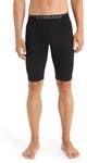 ICEBREAKER Herren Shorts M 200 Oasis Shorts