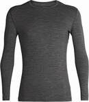 ICEBREAKER Herren Funktionsshirt "Mens 200 Oasis LS Crewe" Langarm