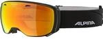 ALPINA Skibrille "Estetica MM"