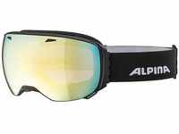 ALPINA Skibrille Big Horn MM, black matt, Onesize