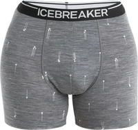 Icebreaker 103029, ICEBREAKER Herren Funktionsunterhose / Unterhose "Men's Anatomica