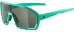 ALPINA Herren Brille BONFIRE