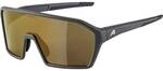 ALPINA Herren Brille ALPINA RAM HM+