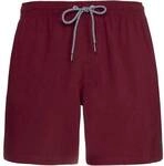 PROTEST Herren Badeshorts DAVEY beachshort
