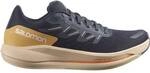 SALOMON Damen Laufschuhe SHOES SPECTUR W Ebony/Almond Cream/Leek