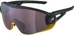 ALPINA Herren Brille 5W1NG Q
