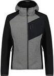 ICEPEAK Herren Funktionsjacke DANFORT