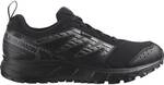 SALOMON Herren Trailrunningschuhe SHOES WANDER GTX Black/Pewter/