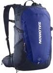 SALOMON Rucksack TRAILBLAZER 30 Surf The Web/Black Iris