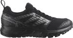 SALOMON Damen Trailrunningschuhe SHOES WANDER GTX W Black/Plum