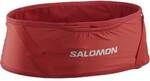 SALOMON Kleintasche PULSE BELT GOJI BERRY
