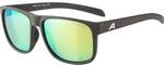 ALPINA Herren Brille NACAN III