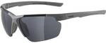 ALPINA Herren Brille DEFEY HR