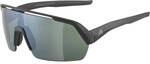 ALPINA Herren Brille TURBO HR Q-LITE