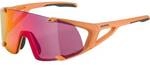 ALPINA Herren Brille HAWKEYE S Q-LITE