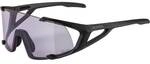 ALPINA Herren Brille HAWKEYE S Q-LITE V