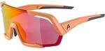 ALPINA Herren Brille ROCKET Q-LITE
