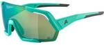 ALPINA Herren Brille ROCKET Q-LITE