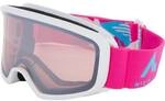 McKINLEY Kinder Ski-Brille Pulse S Plus