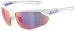 ALPINA Brille ALPINA NYLOS