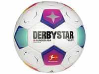 DERBYSTAR Ball Bundesliga Player Special v23