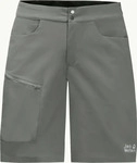 Jack Wolfskin 1507231, JACK WOLFSKIN Herren Shorts TOURER SHORTS M Grau male