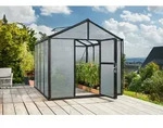 Vitavia Gew&auml;chshaus Zeus 8100 16 mm Hohlkammerplattenn inkl. 2 Dachfenster, Schwarz