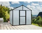 Vitavia Gew&auml;chshaus Zeus 6200 16 mm Hohlkammerplattenn inkl. 2 Dachfenster, Schwarz