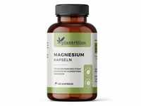 Magnesium Bisglycinat Kapseln hochdosiert 2325mg pro Dosis Magnesiumglycinat
