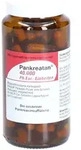 Pankreatan 40.000 Ph.Eur.-Einheiten msr.Hartkaps. 100 St Magensaftresistente
