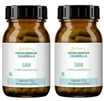 SAM S-Adenosylmethionin Kapseln 2x60 St