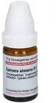Spiraea Ulmaria D 6 Globuli 10 g