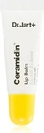 Dr. Jart+ Dr.Jart+ Ceramidin Lip Balm 7ml 7 ml Lippenschutz, Grundpreis: &euro;