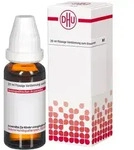 Populus Tremuloides Urtinktur 20 ml Fl&uuml;ssigkeit zum Einnehmen