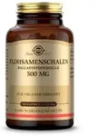 Solgar Flohsamenschalen 500 mg Kapseln 200 St