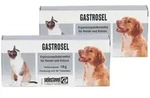 Gastrosel Doppelpack 2x30 St Tabletten