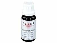 Ceres Carduus marianus Urtinktur 20 ml Tropfen