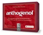 OPC Original Masqueliers Anthogenol Kapseln 90 St