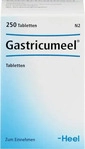 PZN-DE 00407641, Gasticumeel Gastricumeel Tabletten 250 St, Grundpreis: &euro; 0,13 /