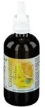 Grapefruit Kern Extrakt pur 100 ml