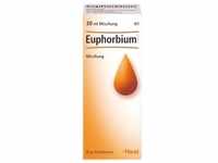 Euphorbium Compositum SN Tropfen 30 ml