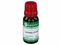 Lachesis LM 12 Dilution 10 ml