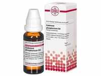 Codeinum Phosphoricum D 4 Dilution 20 ml